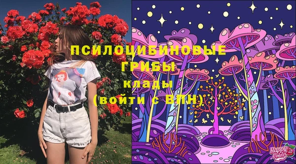 mix Богданович