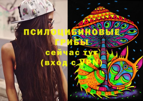 соль ск Богородицк