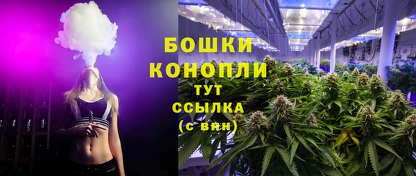 соль ск Богородицк